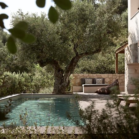 Zayn Luxury Villas, A Serene Escape, By Thinkvilla Tsilivi  Exterior photo